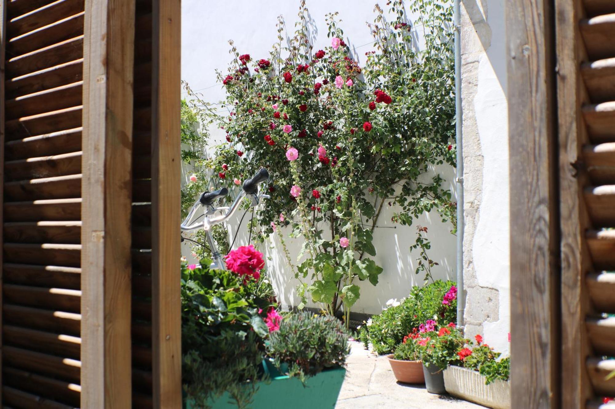 Apartamento Beau T3 *** Pour 2 A 4 Pers Avec Patio Privatif La Couarde-sur-Mer Exterior foto