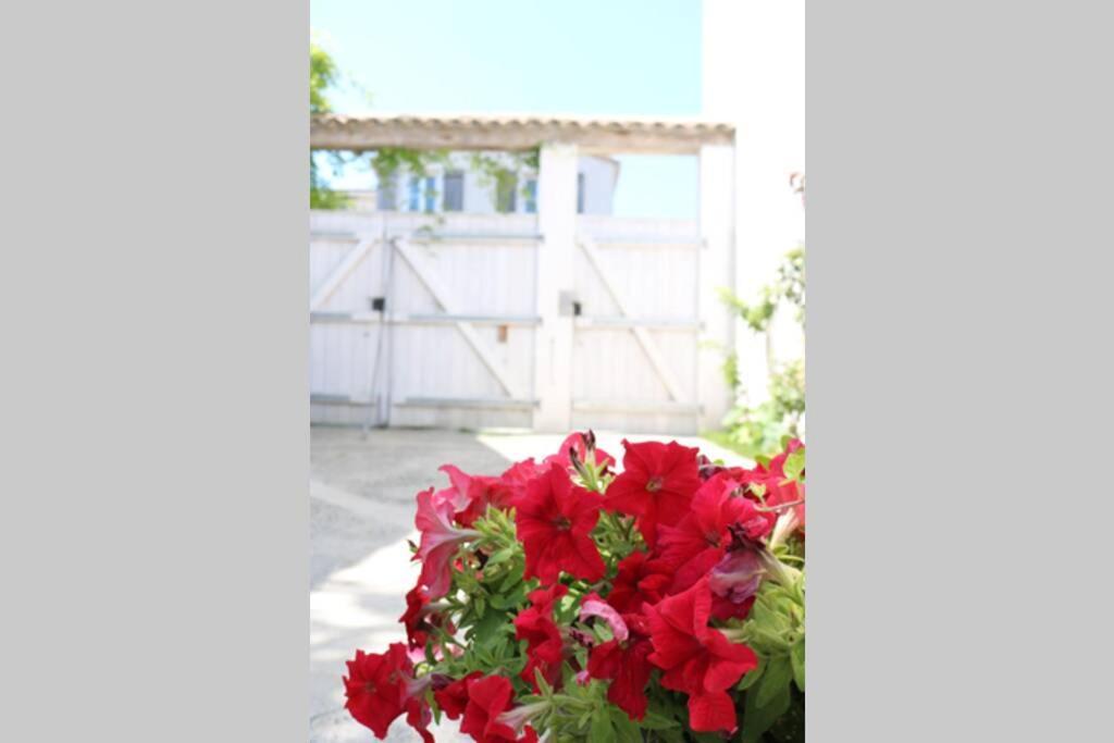 Apartamento Beau T3 *** Pour 2 A 4 Pers Avec Patio Privatif La Couarde-sur-Mer Exterior foto